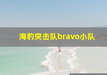 海豹突击队bravo小队