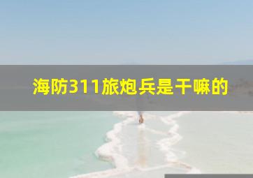 海防311旅炮兵是干嘛的