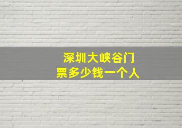 深圳大峡谷门票多少钱一个人