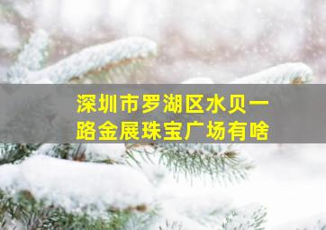 深圳市罗湖区水贝一路金展珠宝广场有啥