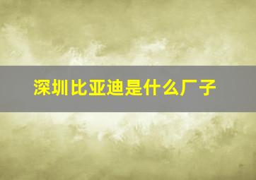 深圳比亚迪是什么厂子