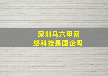 深圳马六甲网络科技是国企吗