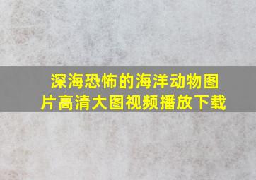 深海恐怖的海洋动物图片高清大图视频播放下载