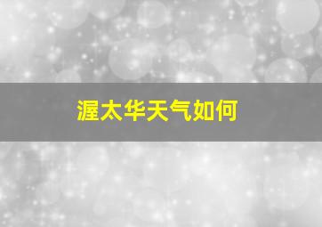 渥太华天气如何