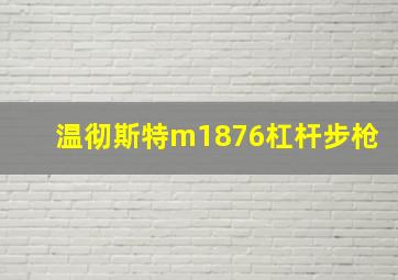 温彻斯特m1876杠杆步枪