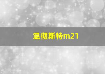 温彻斯特m21