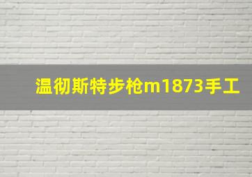 温彻斯特步枪m1873手工