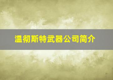 温彻斯特武器公司简介