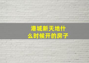 港城新天地什么时候开的房子