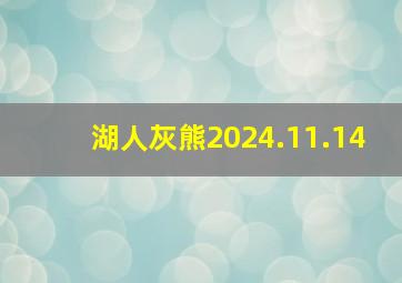 湖人灰熊2024.11.14