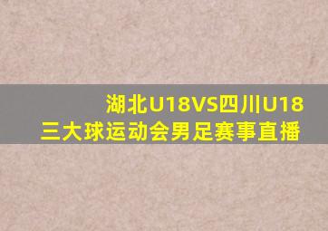 湖北U18VS四川U18三大球运动会男足赛事直播