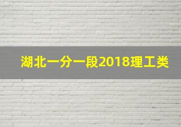 湖北一分一段2018理工类