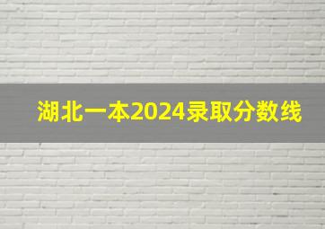 湖北一本2024录取分数线