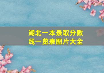 湖北一本录取分数线一览表图片大全