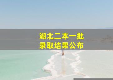 湖北二本一批录取结果公布