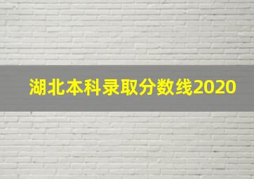 湖北本科录取分数线2020