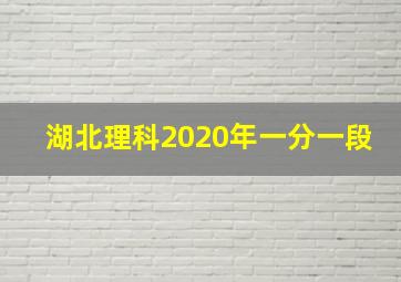 湖北理科2020年一分一段