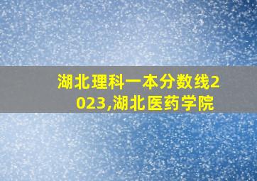 湖北理科一本分数线2023,湖北医药学院