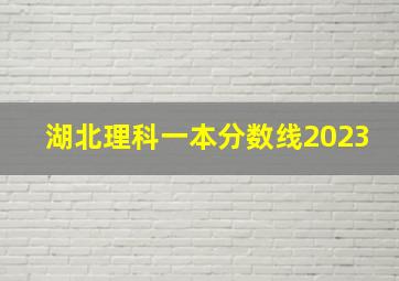 湖北理科一本分数线2023