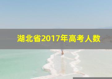 湖北省2017年高考人数