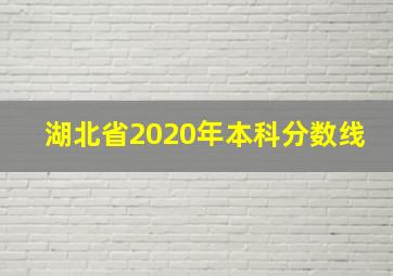 湖北省2020年本科分数线