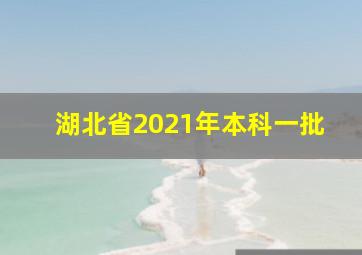 湖北省2021年本科一批