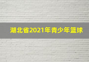 湖北省2021年青少年篮球