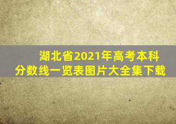 湖北省2021年高考本科分数线一览表图片大全集下载