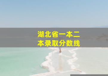 湖北省一本二本录取分数线