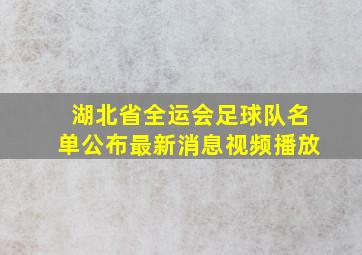 湖北省全运会足球队名单公布最新消息视频播放