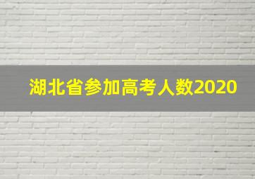 湖北省参加高考人数2020