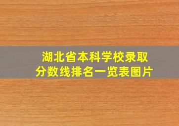 湖北省本科学校录取分数线排名一览表图片