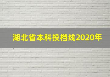 湖北省本科投档线2020年