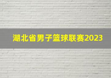 湖北省男子篮球联赛2023