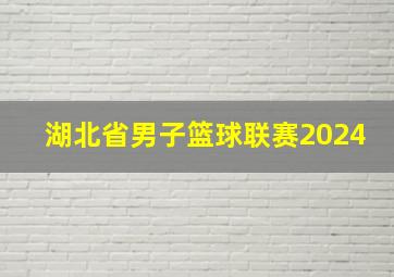 湖北省男子篮球联赛2024