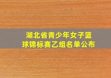 湖北省青少年女子篮球锦标赛乙组名单公布