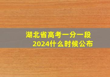 湖北省高考一分一段2024什么时候公布