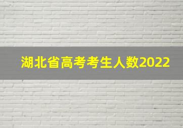 湖北省高考考生人数2022