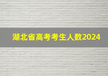 湖北省高考考生人数2024