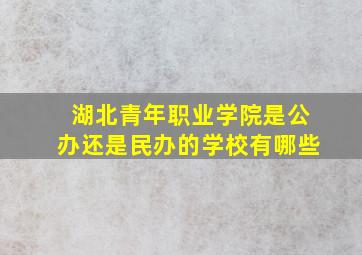 湖北青年职业学院是公办还是民办的学校有哪些