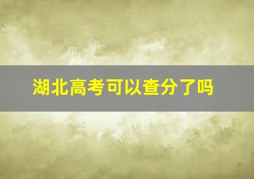 湖北高考可以查分了吗