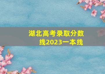 湖北高考录取分数线2023一本线