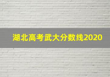 湖北高考武大分数线2020