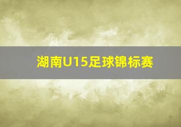 湖南U15足球锦标赛