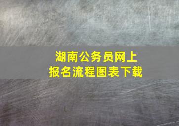 湖南公务员网上报名流程图表下载