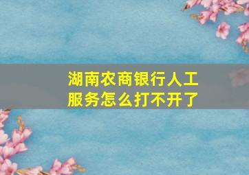 湖南农商银行人工服务怎么打不开了