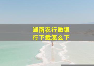 湖南农行微银行下载怎么下