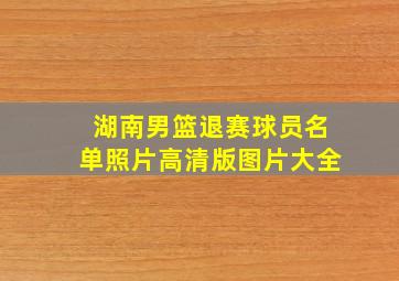 湖南男篮退赛球员名单照片高清版图片大全