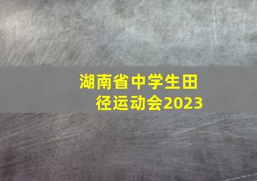 湖南省中学生田径运动会2023