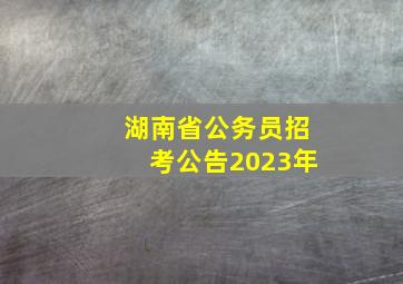 湖南省公务员招考公告2023年